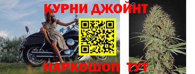 a pvp Новодвинск