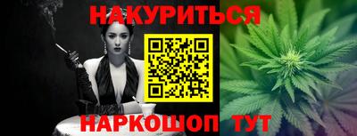 a pvp Новодвинск