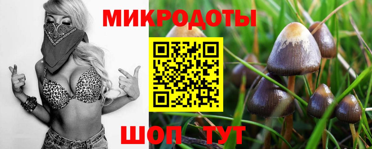 Алушта  Псилоцибиновые грибы ЛСД  Вход с VPN 